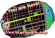 Click to go back to the Map
